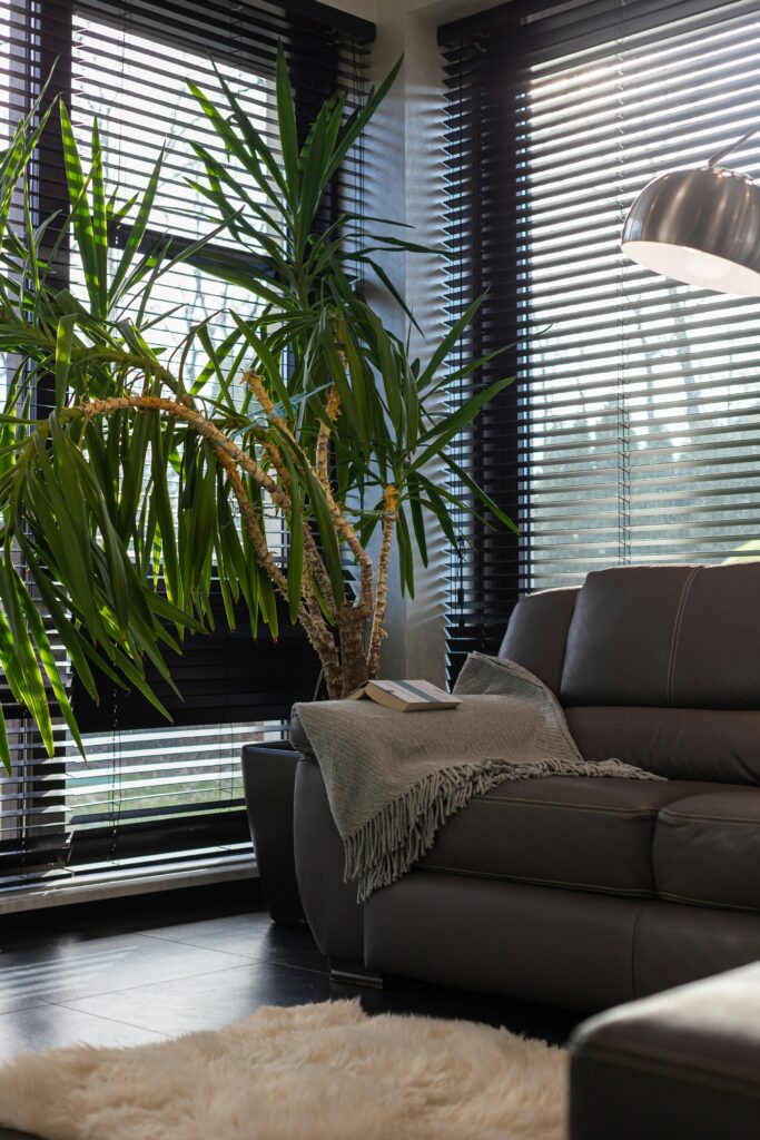 Premium interior with stylish window blinds