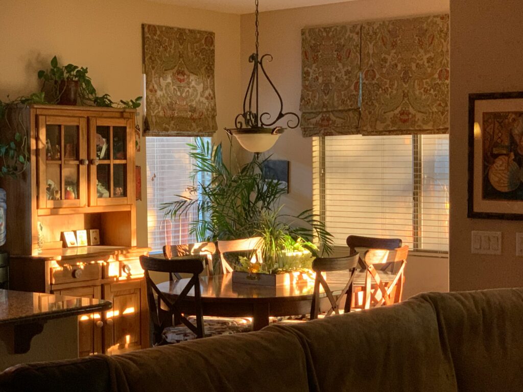 wooden blinds living room